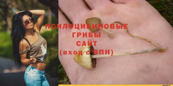 ALPHA PVP Новодвинск