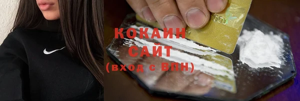 ГАЛЛЮЦИНОГЕННЫЕ ГРИБЫ Болхов