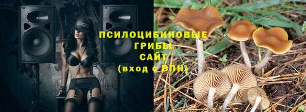 ALPHA PVP Новодвинск