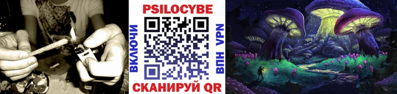 сколько стоит  Ртищево  Псилоцибиновые грибы прущие грибы 